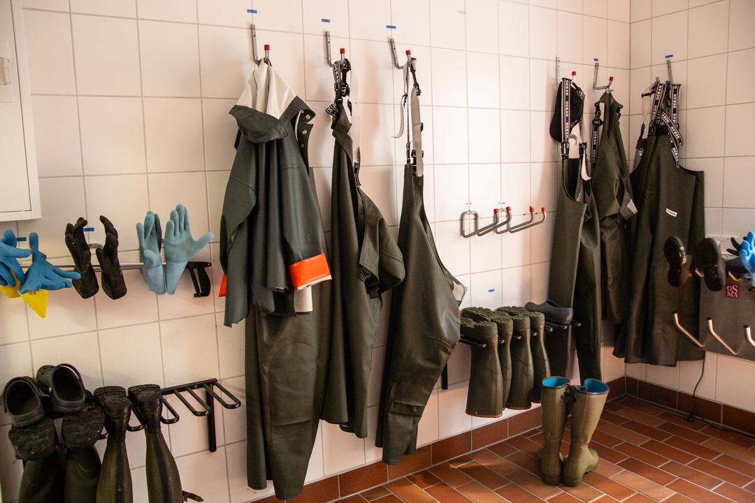 Seal station Norddeich Saskia Stöhr Fotografie