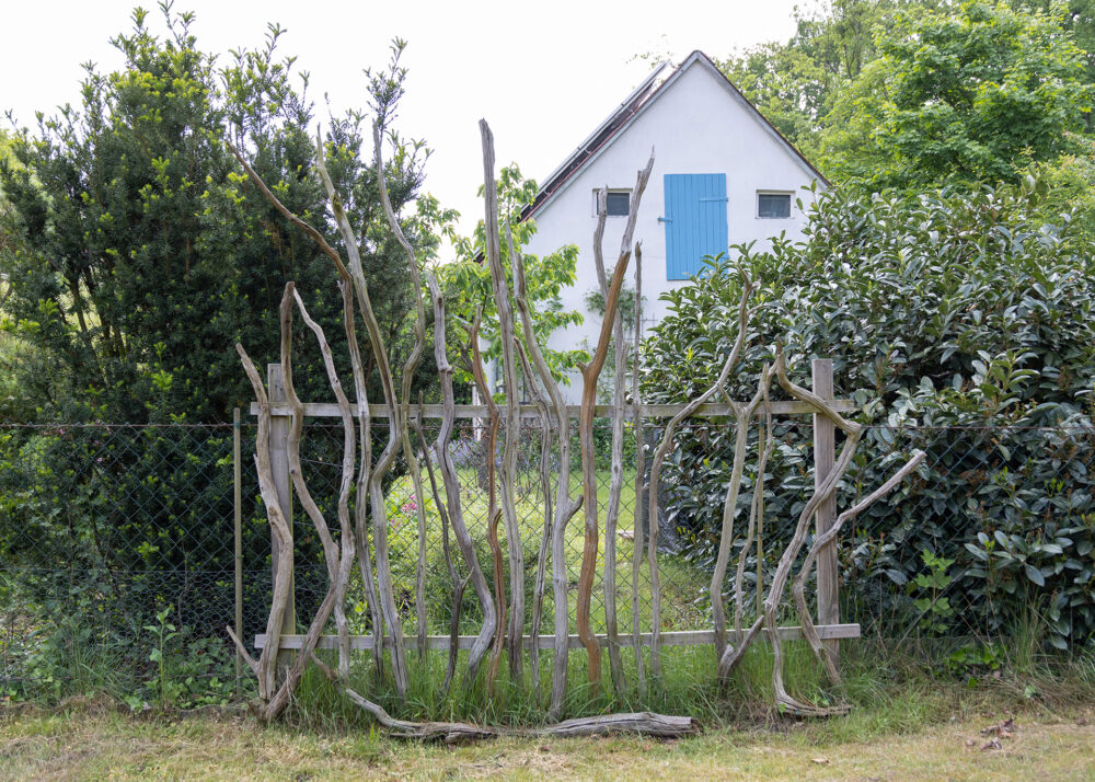 HAGAZUSSA Cathy (24) aus Hannover identifiziert sich als moderne Hexe. Sie glaubt schon lange an die Kraft der Natur und lebt im Einklang mit dem Wandel der Jahreszeiten. Kräuter und Pflanzen sind ihr besonders wichtig.