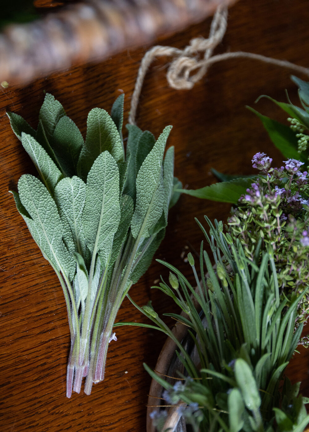 HAGAZUSSA Cathy (24) aus Hannover identifiziert sich als moderne Hexe. Sie glaubt schon lange an die Kraft der Natur und lebt im Einklang mit dem Wandel der Jahreszeiten. Kräuter und Pflanzen sind ihr besonders wichtig.