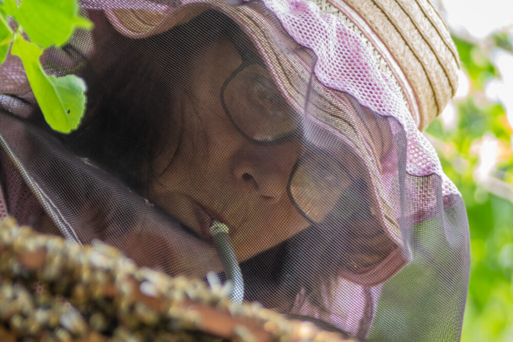 Wesensgemäße Imkerei Bei der wesensgemäßen Imkerei steht nicht der hohe Honigertrag an erster Stelle, sondern das wohl der Bienen.