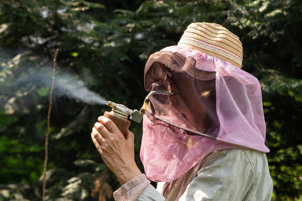 Wesensgemäße Imkerei Bei der wesensgemäßen Imkerei steht nicht der hohe Honigertrag an erster Stelle, sondern das wohl der Bienen.
