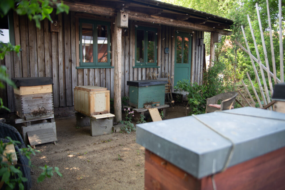 Wesensgemäße Imkerei Bei der wesensgemäßen Imkerei steht nicht der hohe Honigertrag an erster Stelle, sondern das wohl der Bienen.