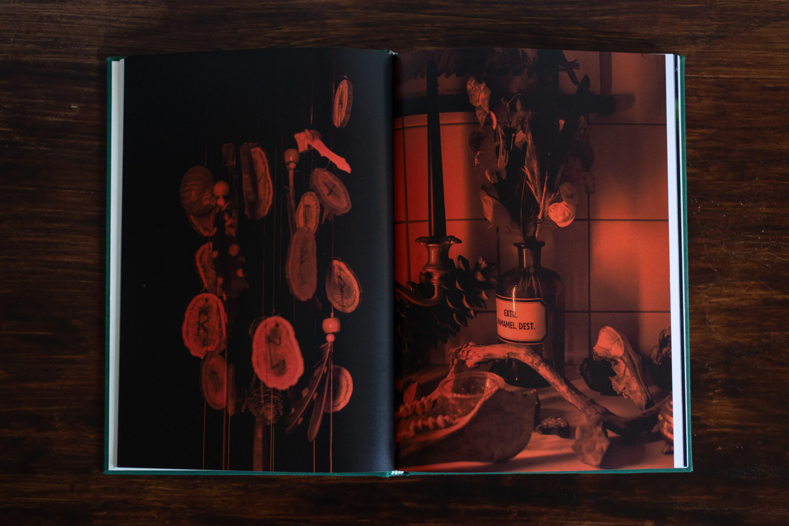 Fotobuch „Die in der Hecke sitzt“