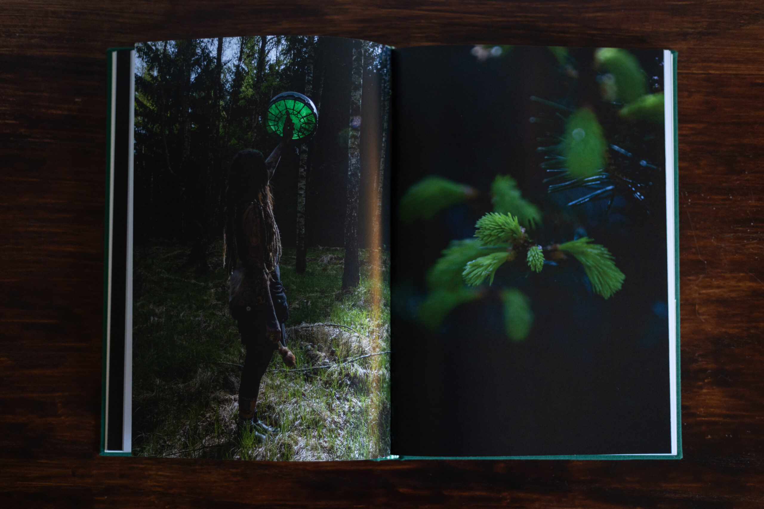 Fotobuch „Die in der Hecke sitzt“