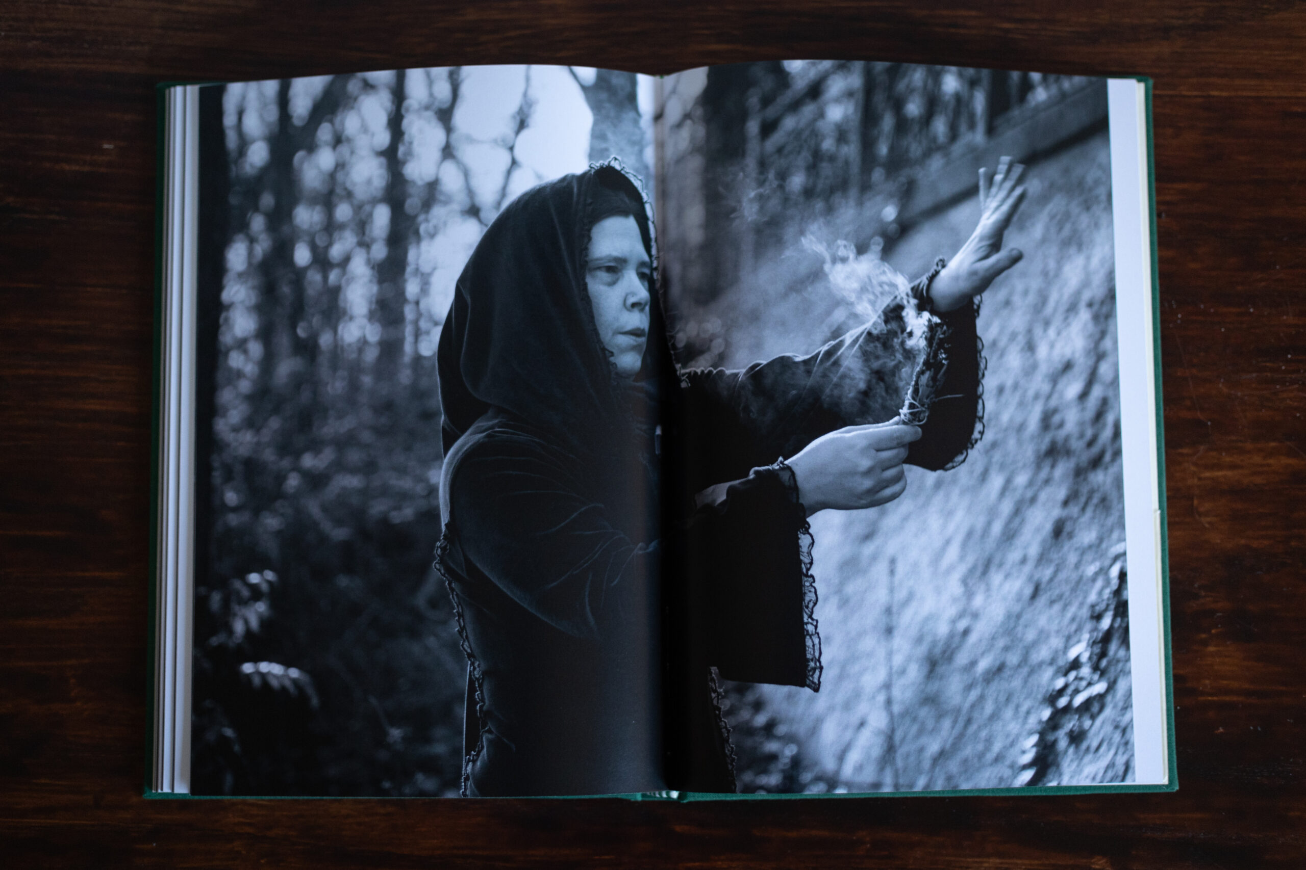 Fotobuch „Die in der Hecke sitzt“